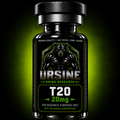 T20
