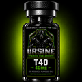 T40